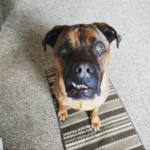 Meet your Posher, Aaron